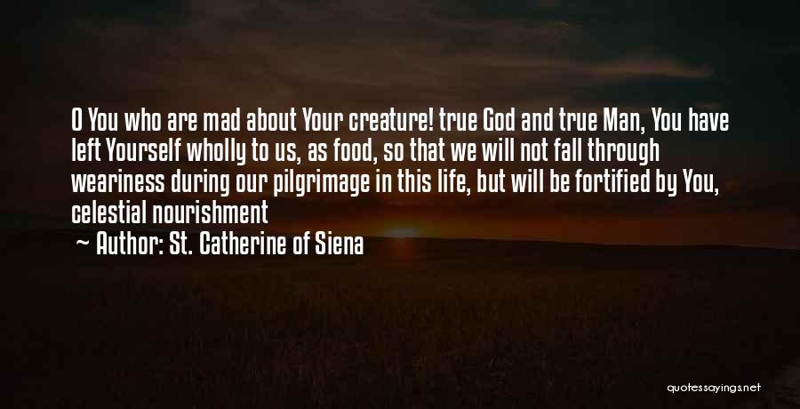 Celestial Life Quotes By St. Catherine Of Siena