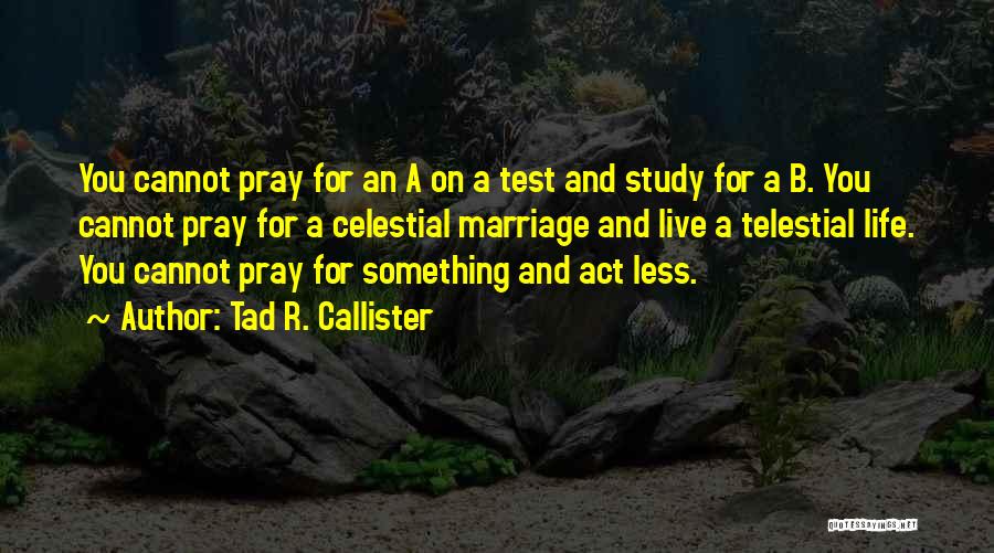 Celestial Life Quotes By Tad R. Callister
