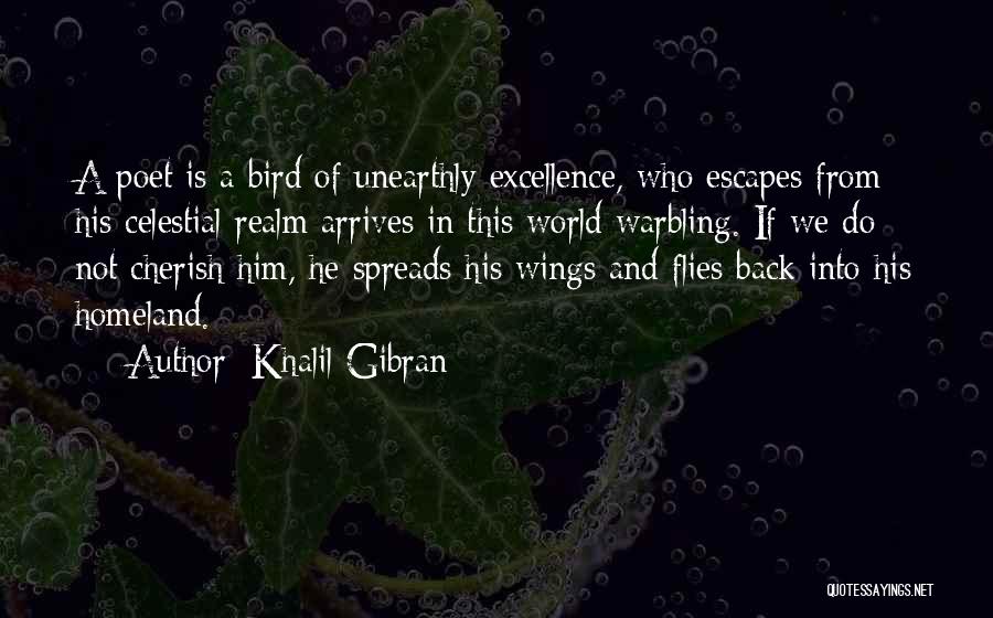 Celestial Poetry Quotes By Khalil Gibran