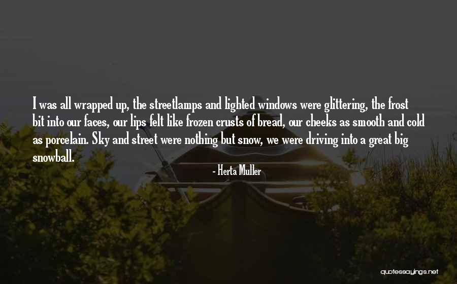 Celestial Railroad Quotes By Herta Muller Celestial Railroad Quotes By Herta Muller
