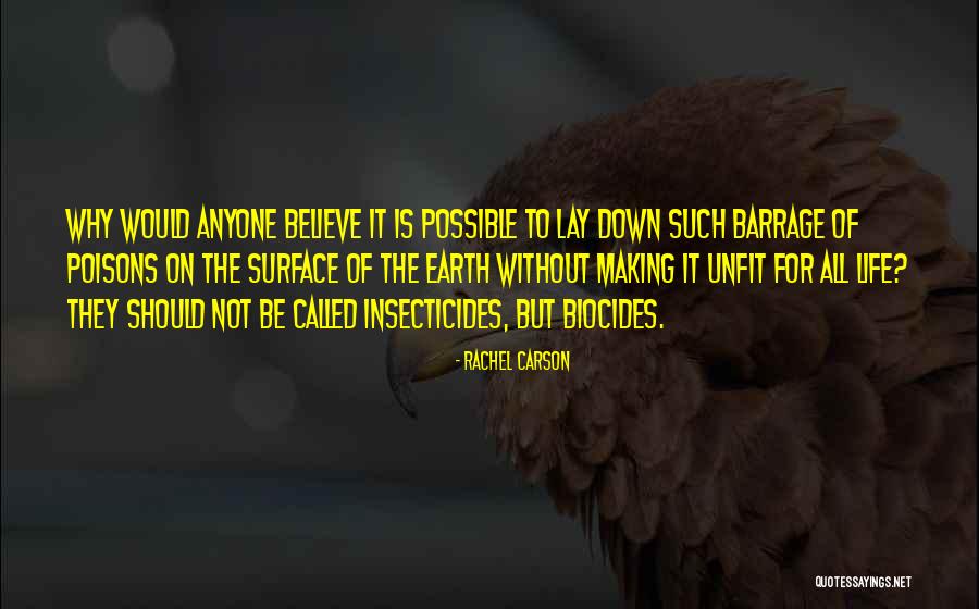 Celestial Railroad Quotes By Rachel Carson Celestial Railroad Quotes By Rachel Carson