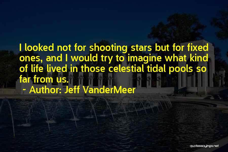 Celestial Stars Quotes By Jeff VanderMeer