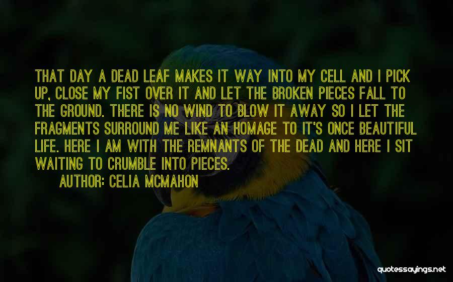 Celia Mcmahon Quotes 918618