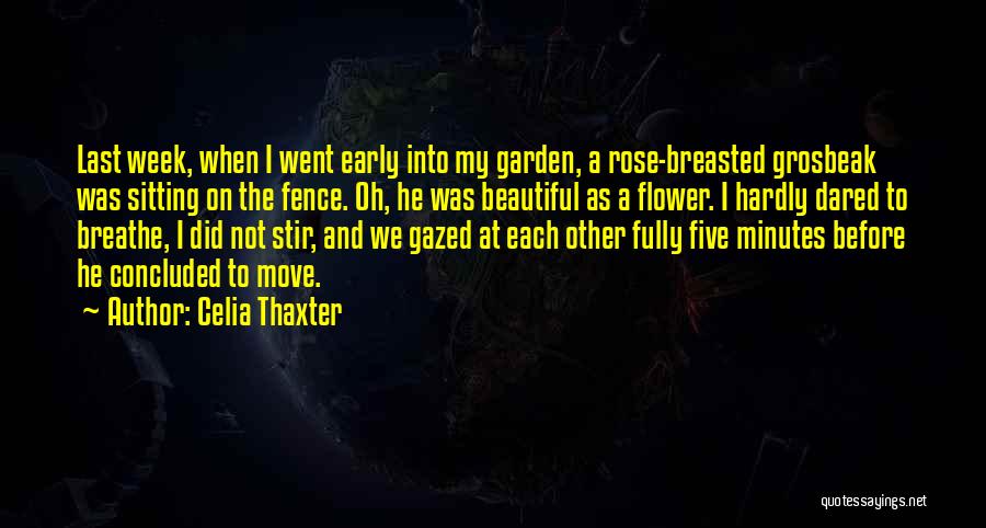 Celia Thaxter Quotes 1848912