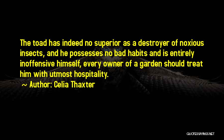 Celia Thaxter Quotes 749642