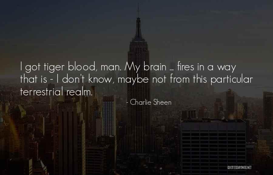 Celiacs After Pregnancy Quotes By Charlie Sheen Celiacs After Pregnancy Quotes By Charlie Sheen