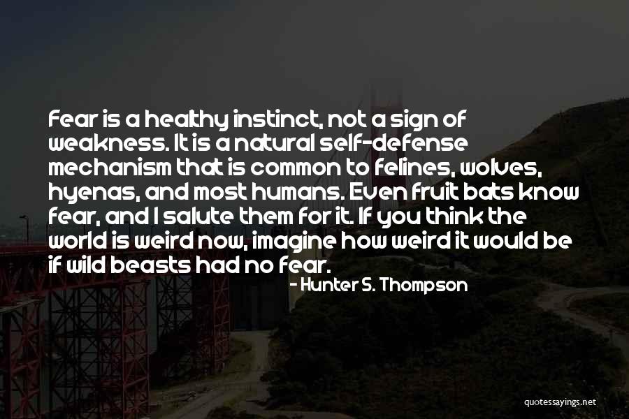 Celik Mup Quotes By Hunter S. Thompson Celik Mup Quotes By Hunter S. Thompson