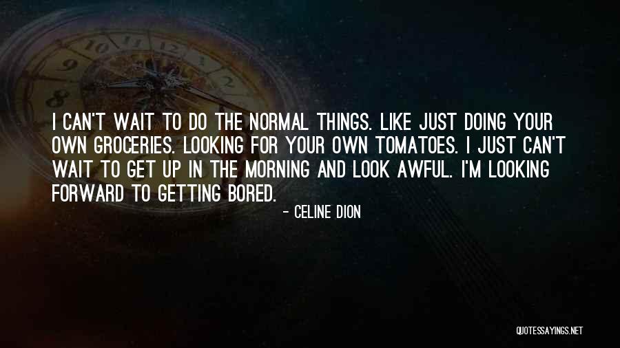 Celine Dion Quotes 1088458 Celine Dion Quotes 1088458