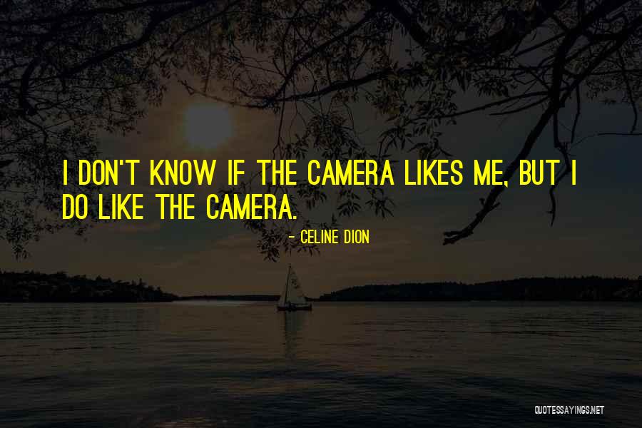 Celine Dion Quotes 1525201