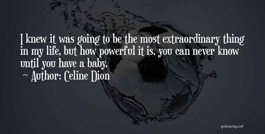 Celine Dion Quotes 364382