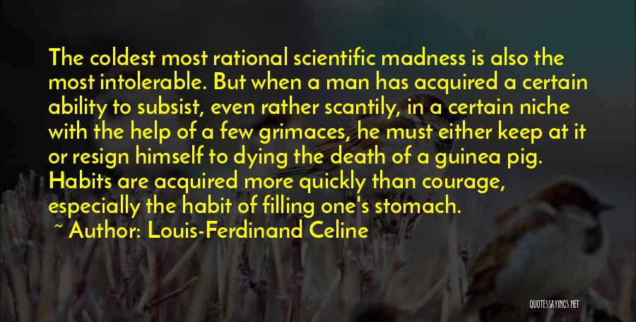 Celine Ferdinand Quotes By Louis-Ferdinand Celine