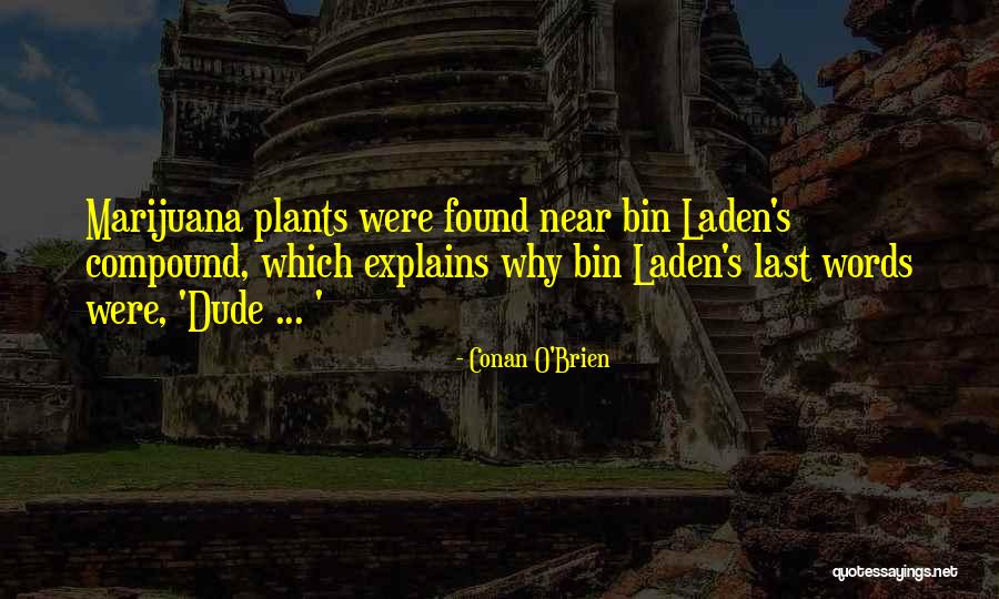 Celines Cats Quotes By Conan O'Brien Celines Cats Quotes By Conan O'Brien