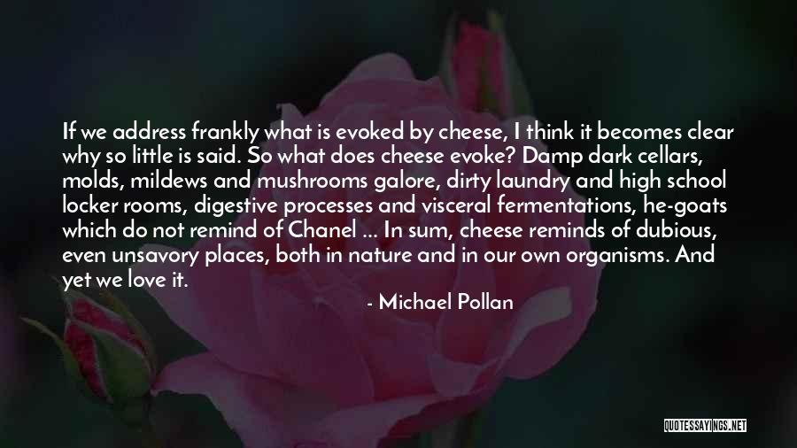 Cellars Quotes By Michael Pollan