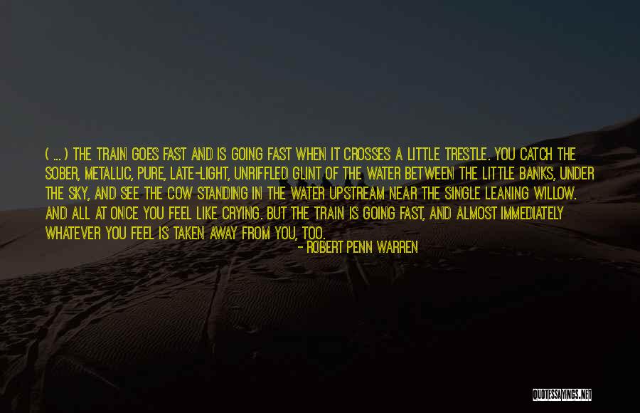 Cellblock Neopets Quotes By Robert Penn Warren Cellblock Neopets Quotes By Robert Penn Warren