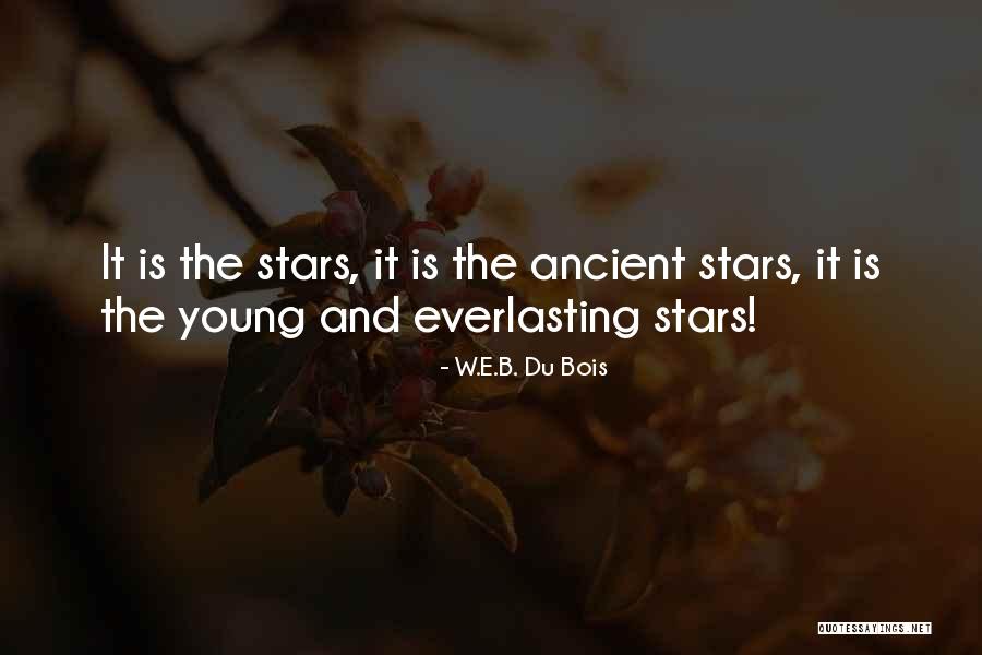 Celled Terraria Quotes By W.E.B. Du Bois Celled Terraria Quotes By W.E.B. Du Bois