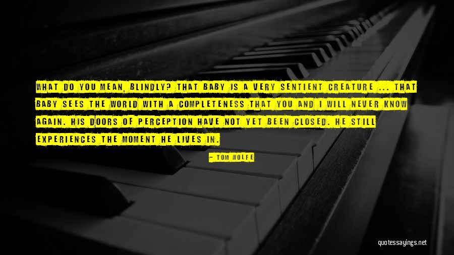 Cellmates Quotes By Tom Wolfe Cellmates Quotes By Tom Wolfe