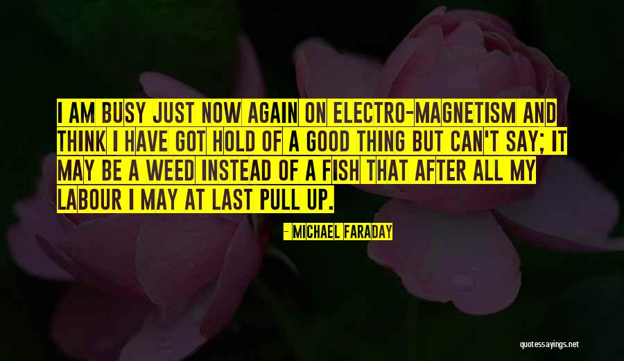 Celsa Taraya Quotes By Michael Faraday Celsa Taraya Quotes By Michael Faraday