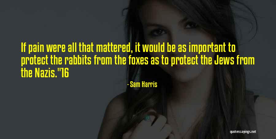 Celsey Beneda Quotes By Sam Harris Celsey Beneda Quotes By Sam Harris
