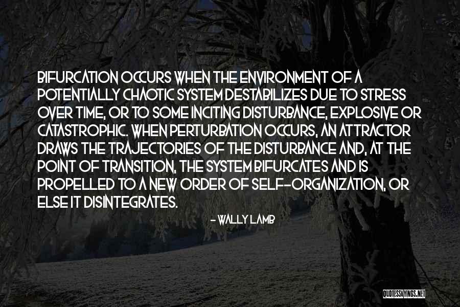 Celtic Stones Quotes By Wally Lamb Celtic Stones Quotes By Wally Lamb