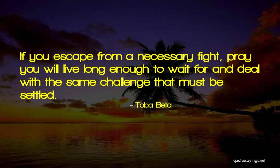 Celyn Animation Quotes By Toba Beta Celyn Animation Quotes By Toba Beta