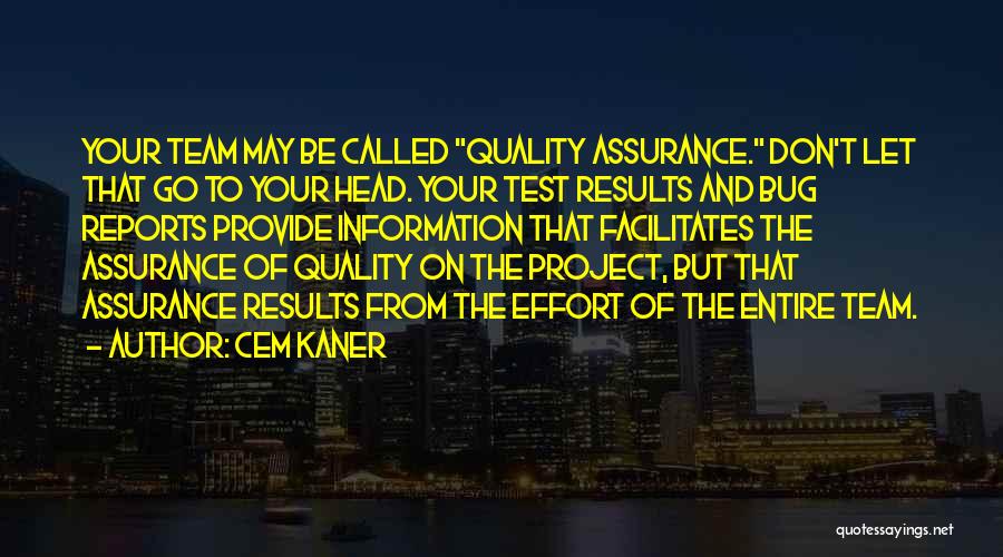 Cem Kaner Quotes 1831353