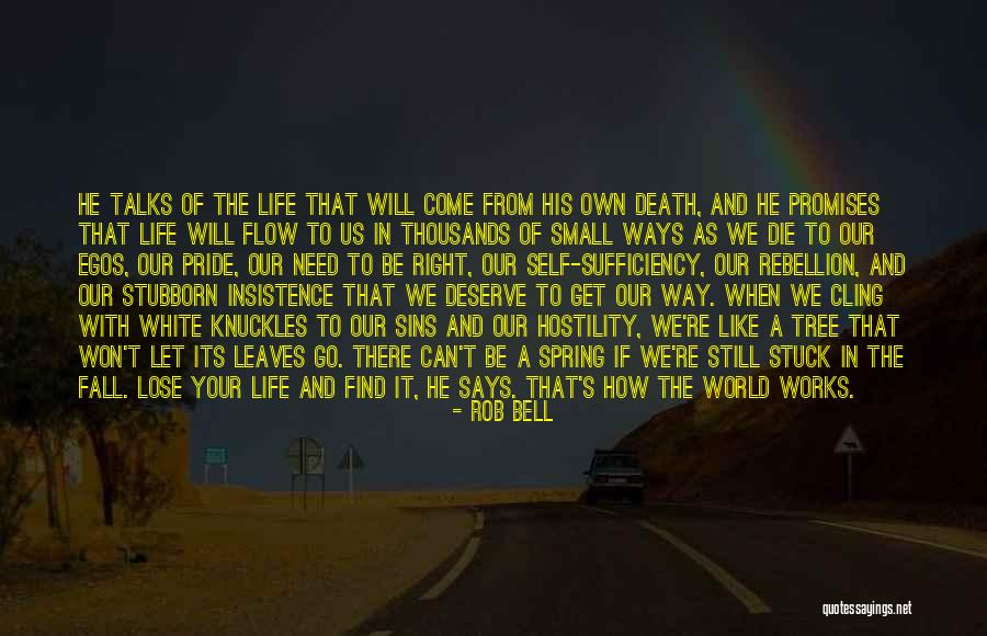 Cemal Enginyurt Quotes By Rob Bell Cemal Enginyurt Quotes By Rob Bell