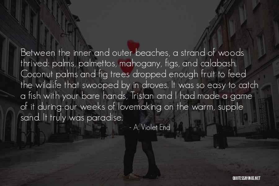Cemalettin Karahan Quotes By A. Violet End Cemalettin Karahan Quotes By A. Violet End