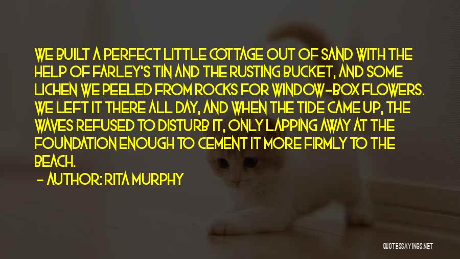 Cement Foundation Quotes By Rita Murphy