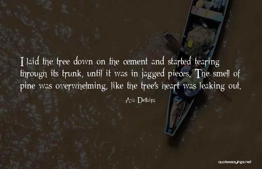 Cement Quotes By Ava Dellaira Cement Quotes By Ava Dellaira