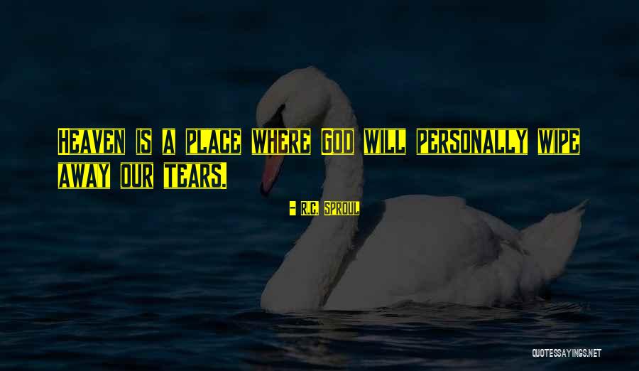 Cementation Quotes By R.C. Sproul Cementation Quotes By R.C. Sproul