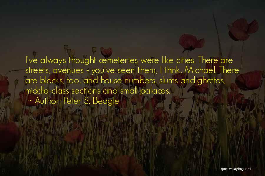 Cemeteries Quotes By Peter S. Beagle
