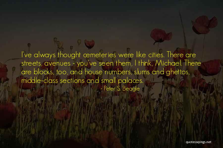 Cemeteries Quotes By Peter S. Beagle