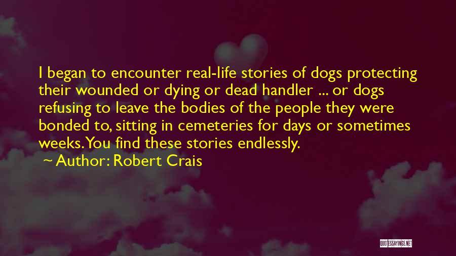 Cemeteries Quotes By Robert Crais
