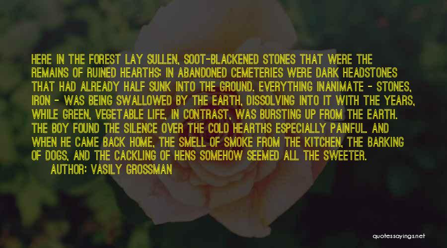 Cemeteries Quotes By Vasily Grossman Cemeteries Quotes By Vasily Grossman