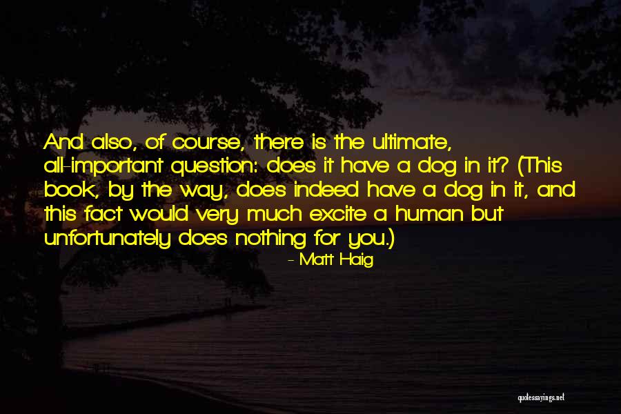Cemitas Quotes By Matt Haig Cemitas Quotes By Matt Haig