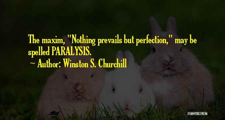 Cemre Baysel Quotes By Winston S. Churchill