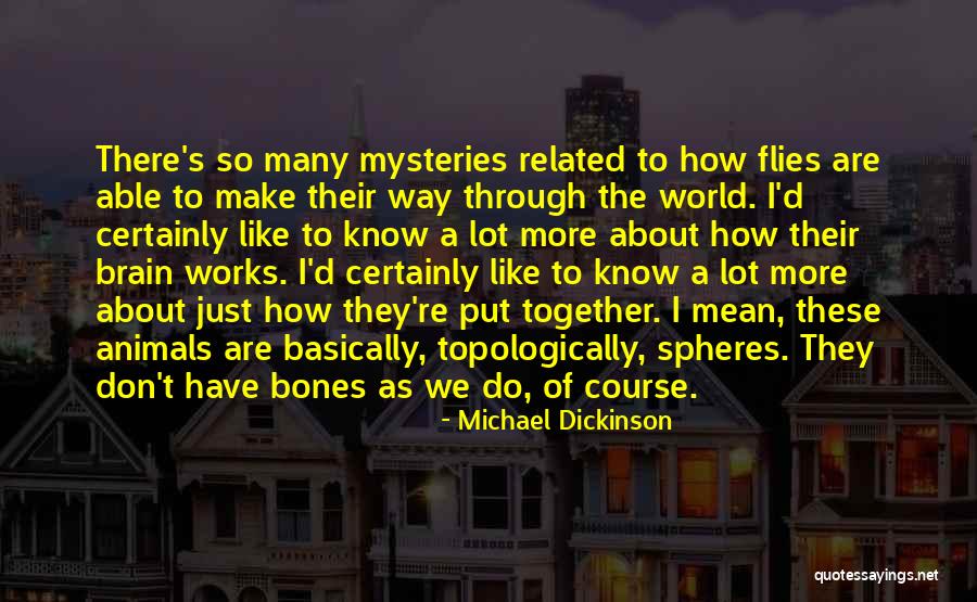 Cenare Quotes By Michael Dickinson Cenare Quotes By Michael Dickinson