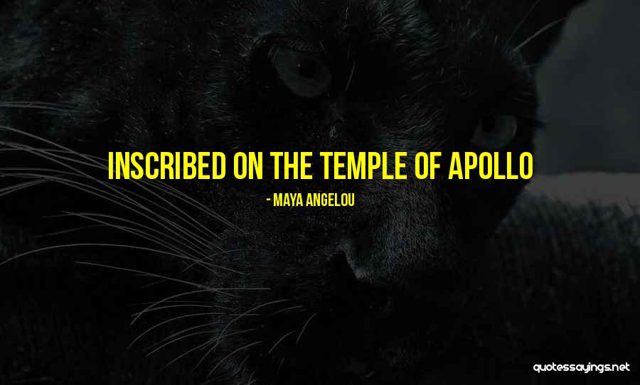 Cendejas Repairs Quotes By Maya Angelou Cendejas Repairs Quotes By Maya Angelou
