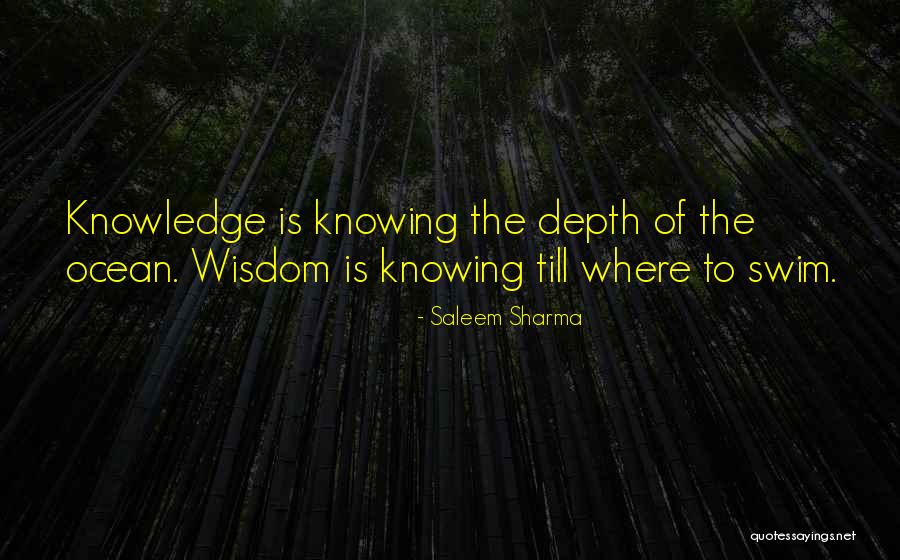 Cendrowski Associates Quotes By Saleem Sharma