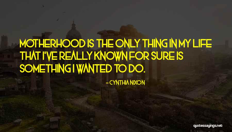 Centanni Collingswood Quotes By Cynthia Nixon Centanni Collingswood Quotes By Cynthia Nixon