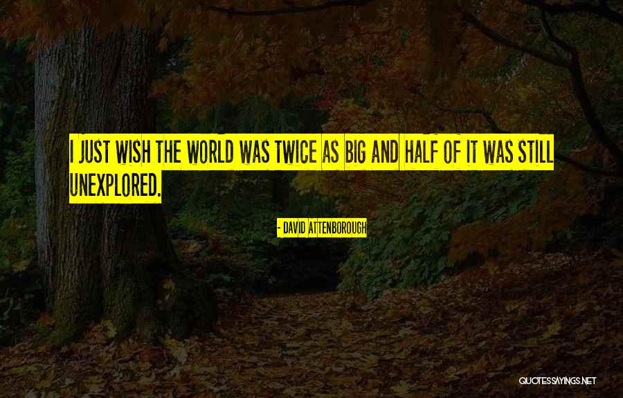 Centelleantes Quotes By David Attenborough Centelleantes Quotes By David Attenborough