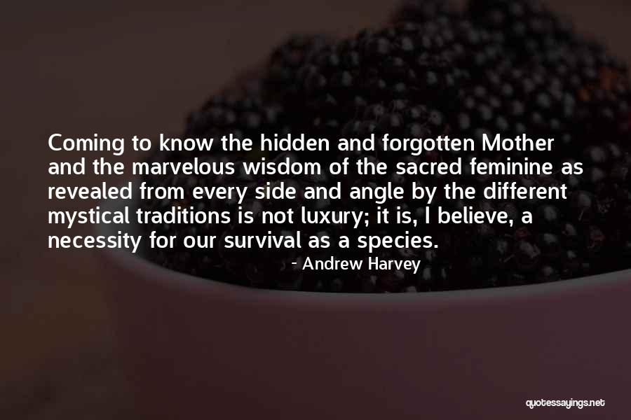 Centeno In English Quotes By Andrew Harvey Centeno In English Quotes By Andrew Harvey
