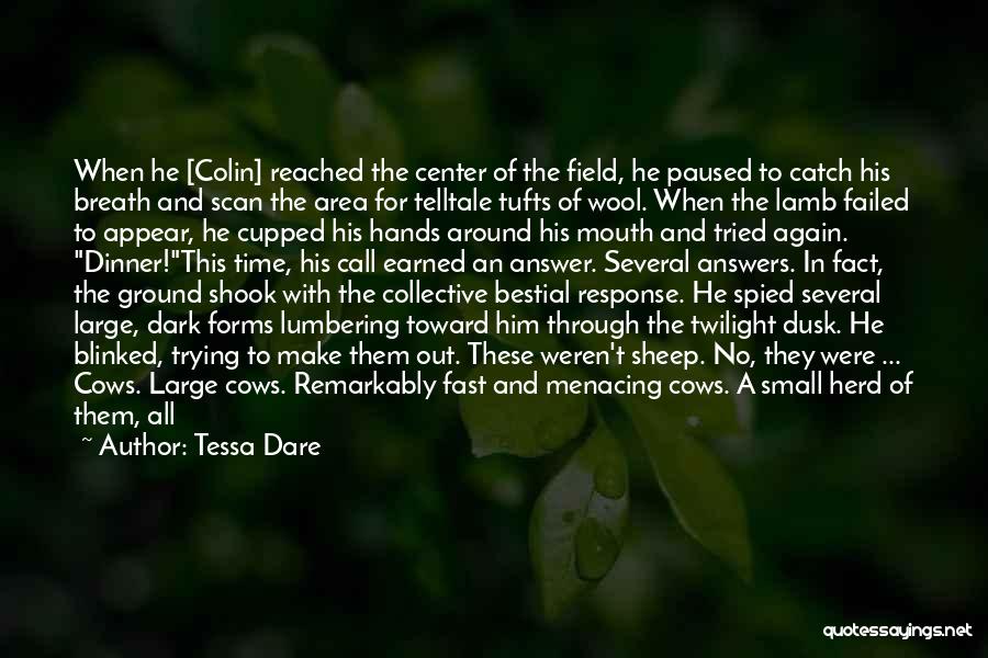 Center Field Quotes By Tessa Dare
