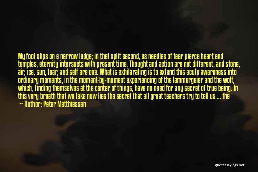 Center Of Attention Quotes By Peter Matthiessen