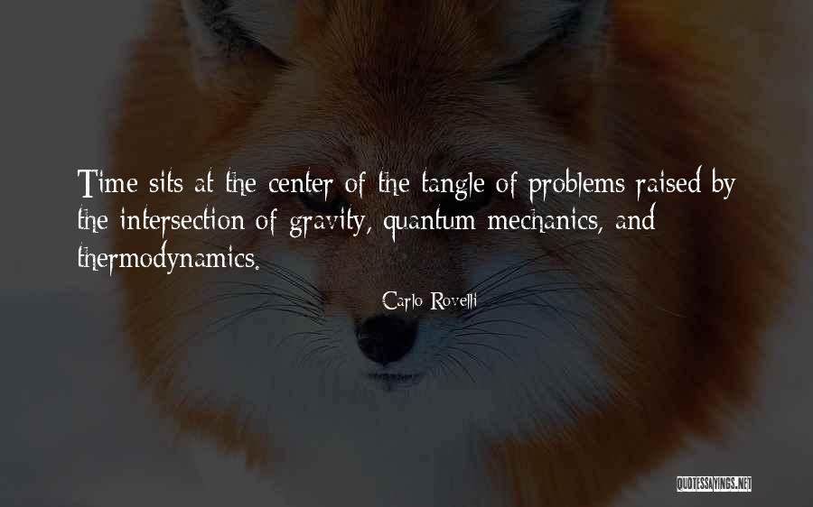 Center Of Gravity Quotes By Carlo Rovelli Center Of Gravity Quotes By Carlo Rovelli