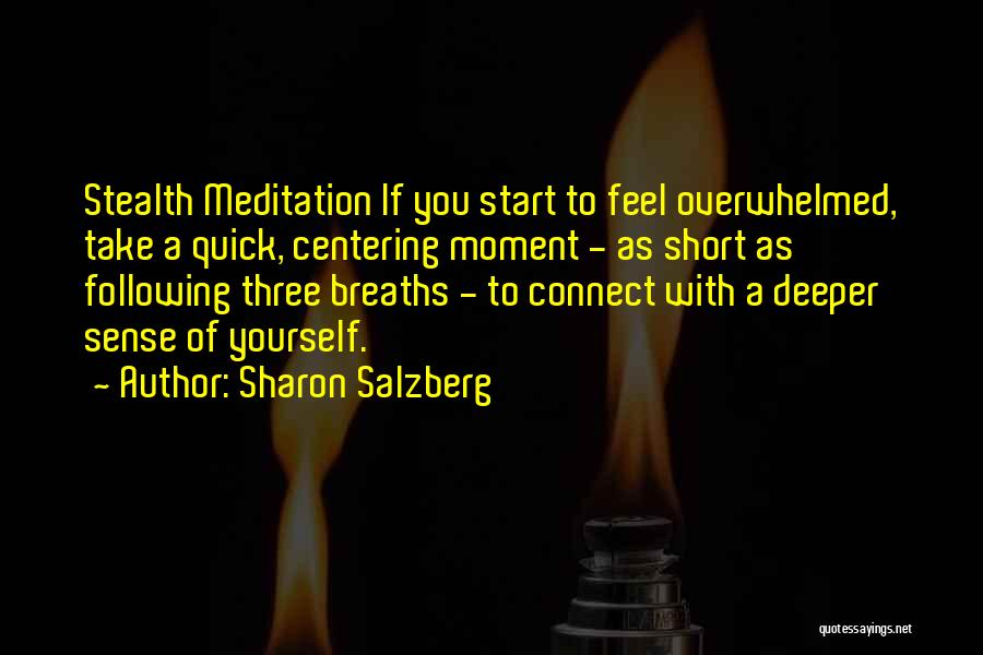 Centering Quotes By Sharon Salzberg