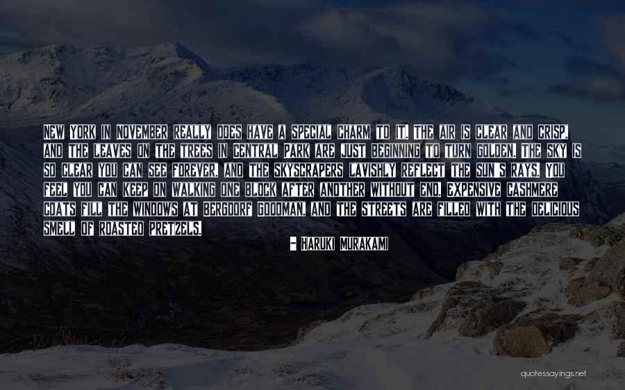 Central Air Quotes By Haruki Murakami Central Air Quotes By Haruki Murakami