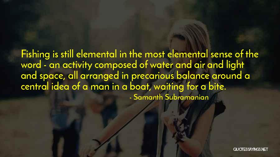 Central Air Quotes By Samanth Subramanian