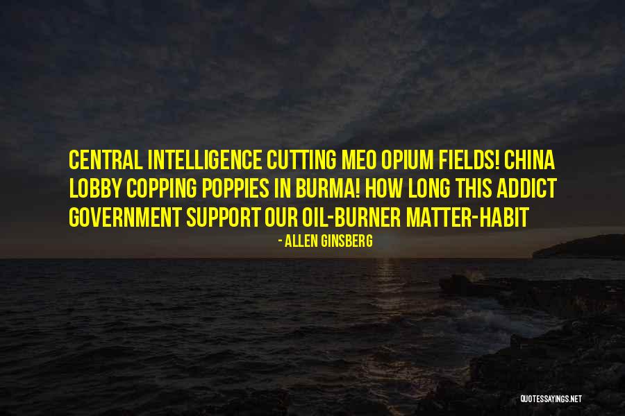 Central Intelligence Quotes By Allen Ginsberg Central Intelligence Quotes By Allen Ginsberg