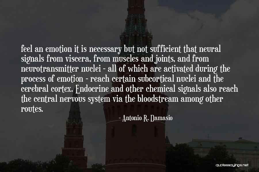 Central Nervous System Quotes By Antonio R. Damasio Central Nervous System Quotes By Antonio R. Damasio